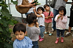 親子で野菜ハウス見学