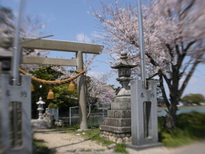 神社の鳥居と桜